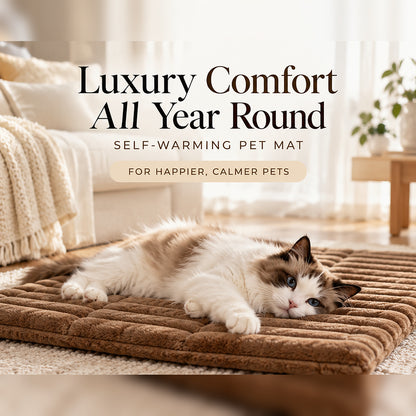 Sunday Sleeper™ CozyPaws Self-Warming Pet Mat